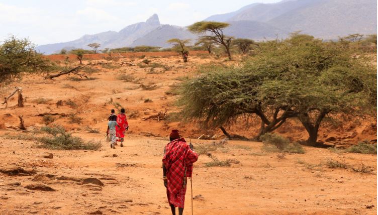 Engineering Resilient Dryland Futures